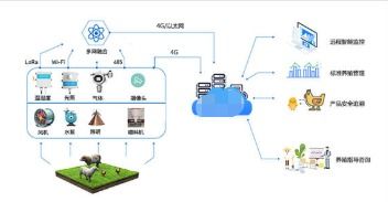 智慧畜牧定位溯源系統軟件設計開發