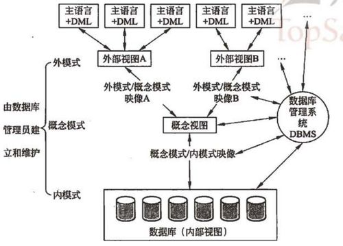 軟考學習記錄 系統架構設計師教程 第二章 計算機網絡基礎知識筆記